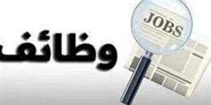 وظائف للمصريين بالسعودية.. الشروط والأوراق المطلوبة ومواعيد التقديم