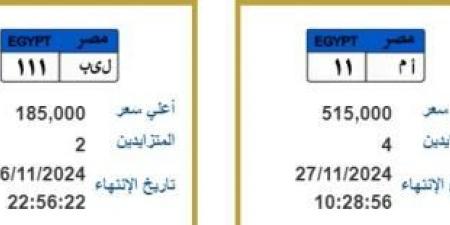 مود ونور وسيف لوحة عربيتك باسمك .. والأسعار تتجاوز نصف مليون جنيه l صور