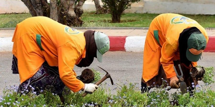 سلطة الوصاية تدقق في مساطر تشغيل "العرضيين" بالجماعات الترابية