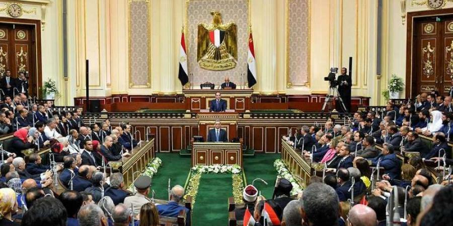 طلب إحاطة بالبرلمان لحجب هذه المنصة في مصر