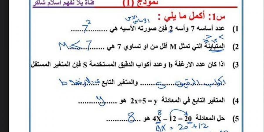 مراجعات نهائية.. امتحان الرياضيات المتوقع بإجابته لشهر نوفمبر الصف السادس الابتدائي