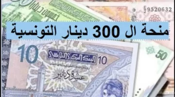 منحه 300 دينار تونسي.. وزارة الشؤون الاجتماعية تحدد المستندات المطلوبة للتسجيل في منحة العائلات المعوزة بتونس