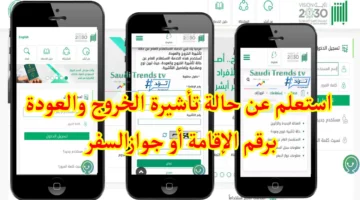 المديرية العامة..  توضح كيفية تجديد التأشيرة ورسوم الخروج والعودة في المملكة 1445