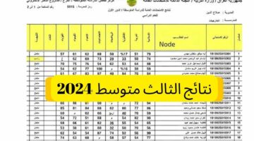 برابط مباشر.. خطوات الاستعلام عن نتائج الثالث المتوسط الدور الاول في العراق 2024