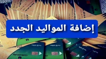 كيفية إضافة المواليد على بطاقة التموين لعام 2024.. تعرف على الشروط والأوراق المطلوبة للتقديم كاملة 