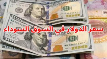 الأخضر الأمريكي وصل كام النهاردة !!! … اسعار الدولار اليوم الجمعة 19-4-2024 في آخر التعاملات