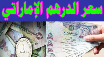 الاماراتي بكام النهارده.. مفاجأة غير متوقعة في سعر الدرهم الاماراتي اليوم الثلاثاء 16 ابريل.. يلا بينا على الامارات!!