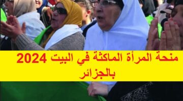 من هنا anem.dz لينك التقديم في منحة المرأة الماكثة في البيت 2024 بالجزائر وما هي الشروط المطلوبة والأوراق  موقع الوكالة الوطنية للتشغيل وقيمة المنحة