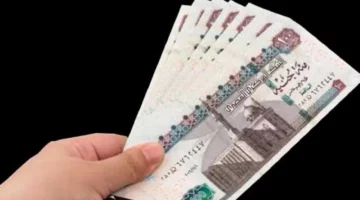 استعلم بالرقم القومي.. 1000 جنية معاش تكافل وكرامة 2024