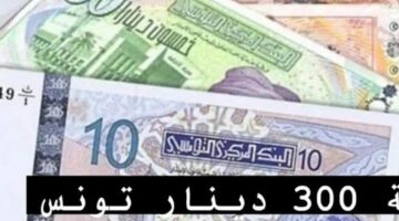 رابط التسجيل في منحة 300 دينار تونس 2024.. وهذه الشروط