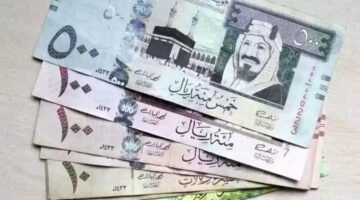 100 ريال بكام مصري.. سعر الريال السعودي اليوم مقابل الجنية المصري