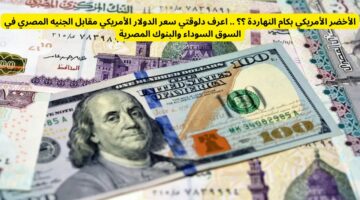 الأخضر الأمريكي بكام النهاردة.. اعرف دلوقتي سعر الدولار الأمريكي مقابل الجنيه المصري في البنوك المصرية