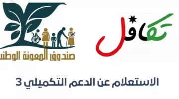 “المعونة الوطنية” تعلن عن رابط التسجيل للدعم التكميلي في الأردن 2024 – كل ما تحتاج لمعرفته