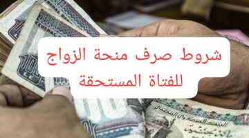 احصلي عليها الآن.. تعرفي على شروط صرف منحة الزواج للفتاة المستحقة من معاش أسرة المشترك