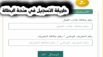 هل يمكن تجديد منحة البطالة في الجزائر مرة أخرى ؟ .. “الوكالة الوطنية للتشغيل ” تجيب | إليك الشروط 2024