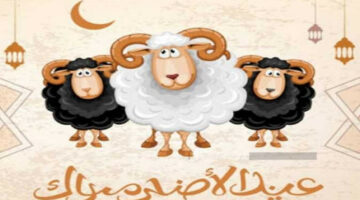 “خطط للإجازة”.. موعد عطلة عيد الأضحى المبارك في مصر