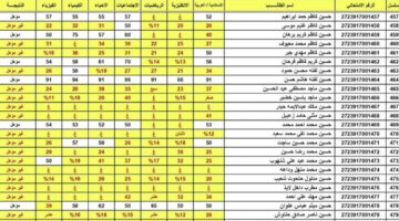 ظهرت.. رابط الاستعلام عن نتائج السادس الابتدائي بابل 2024 العراق