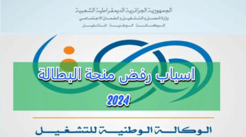 خطوات الاستعلام عن نتيجة منحة البطالة وأسباب رفضها 2024