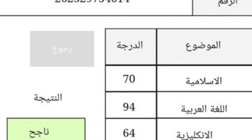 “لينك جديد”.. رابط نتائج السادس الابتدائي في واسط 2024