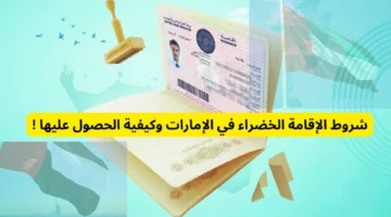 لكل الفئات.. إليك شروط الحصول على الإقامة الخضراء في الإمارات