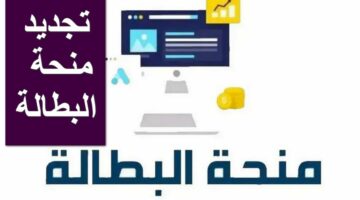 دعم مالي للعاطلين.. رابط تجديد منحة البطالة للجزائريين والمستندات والشروط المطلوبة وموعد الصرف