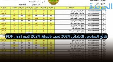 حملها الان.. ظهور نتائج السادس الابتدائي النجف بالعراق 2024 الدور الأول PDF