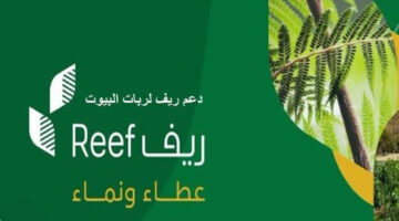 خطوة بخطوة.. تعرف على طريقة تقديم طلب الحصول على دعم ريف والشروط المطلوبة