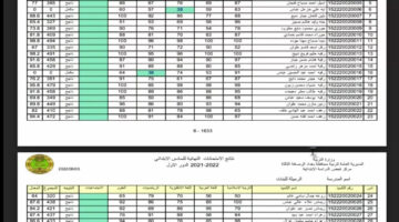 أخيراً وبعد طول إنتظار.. ظهور نتائج الصف السادس الابتدائي في القادسية .. خطوات الاستعلام بالتفصيل ادخل دلوقتي!