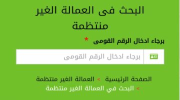 ازاي تحصل على مبلغ 1000 جنيه من موقع وزارة القوى العاملة.. كيفية التسجيل للحصول على منحة العمالة الغير منتظمة لعام 2024 عبر الموقع الخاص