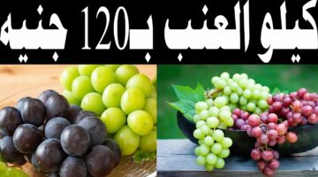 بعد تخطي 120 جنيه نقيب الفلاحين يعلن عن خفض أسعار العنب