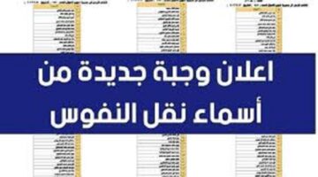 طريقة الاستعلام عن اسماء نقل النفوس في العراق 2024 الوجبة الاخيرة.. مع الخطوات الصحيحة من الموقع الرسمي