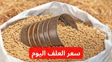 مش هتصدق وصل كام !! .. تعرف الآن على سعر العلف اليوم الجمعة 3-5-2024