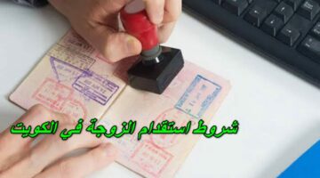 بشري للمغتربين.. تعرف على شروط استقدام الزوجة إلى الكويت