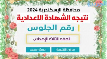 نتيجة الشهادة الإعدادية محافظة الإسكندرية 2024 بالاسم ورقم الجلوس