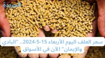 سعر العلف اليوم الأربعاء 15-5-2024.. “البادي والإيمان” الآن في الأسواق