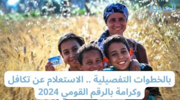 بالخطوات التفصيلية .. الاستعلام عن تكافل وكرامة بالرقم القومي 2024