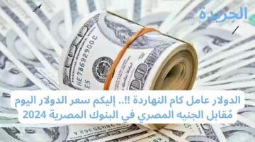 الدولار عامل كام النهاردة !!.. إليكم سعر الدولار اليوم مُقابل الجنيه المصري في البنوك المصرية 2024