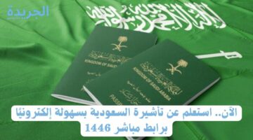 الآن.. استعلم عن تأشيرة السعودية بسهولة إلكترونيًا برابط مباشر 1446