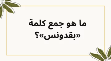 كنوز اللغة العربية جمع كلمة بقدونس التي حيرت الكثير من الناس