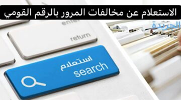 تصالح فى ثوانى.. الإستعلام عن المخالفات من خلال موقع المرور الجديد