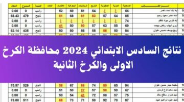 ظهرت الان.. نتائج السادس الابتدائي 2024 للكرخ الأولى والثانية عبر موقع وزارة التربية