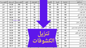 ظهرت الان بصيغة pdf.. نتائج السادس الابتدائي دهوك 2024 الدور الاول بالاسم