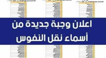 تعرف على الرابط الخاص بالتحقق من أسماء الأشخاص المخصصين بنقل النفوس للوجبة الجديدة 2024 في العراق