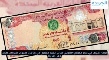 ارتفاع طفيف في سعر الدرهم الاماراتي مقابل الجنيه المصري في تعاملات السوق السوداء.. اعرف وصل لكام؟!