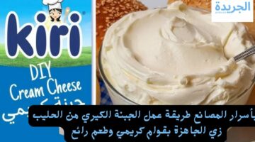 بأسرار المصانع طريقة عمل الجبنة الكيري من الحليب زي الجاهزة بقوام كريمي وطعم رائع