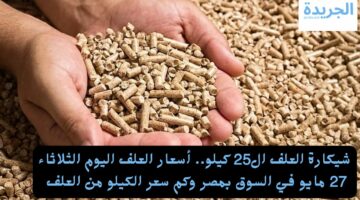 شيكارة العلف ال25 كيلو.. أسعار الاعلاف اليوم الثلاثاء 27 مايو في السوق المصري وكم سعر الكيلو