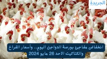 انخفاض مفاجئ بورصة الدواجن اليوم.. وأسعار الفراخ والكتاكيت الاحد 26 مايو 2024