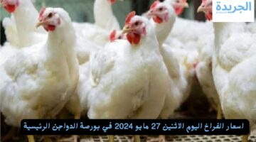  اسعار الفراخ اليوم الاثنين 27 مايو 2024  في بورصة الدواجن الرئيسية