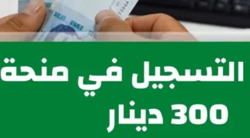 التسجيل في منحة 300 دينار للتونسيين مع أهم الوثائق والأوراق الضرورية