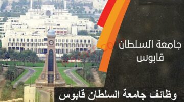 44 تخصص.. وظائف أعضاء هيئة التدريس في جامعة السلطان قابوس 1445 تعرف على الشروط والتخصصات المطلوبة